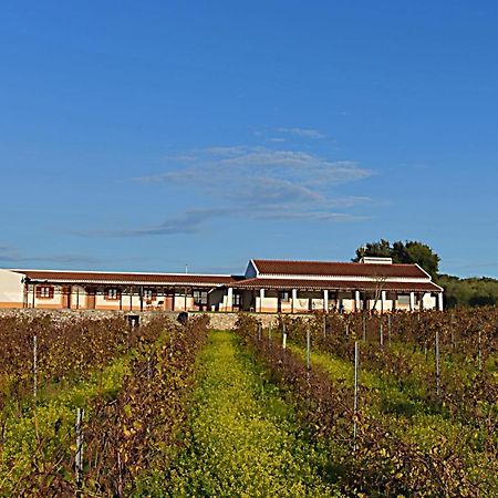 Turismo Rural Pedremoura Guest House Vila Ruiva  Luaran gambar