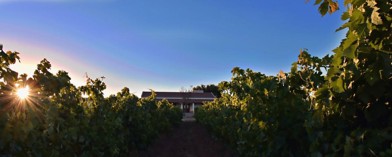 Turismo Rural Pedremoura Guest House Vila Ruiva  Luaran gambar