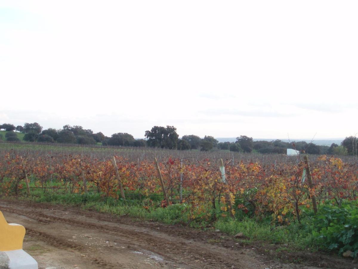 Turismo Rural Pedremoura Guest House Vila Ruiva  Luaran gambar
